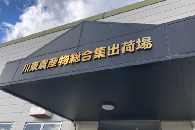 台風19号の影響とは 長野県上田市のリンゴを訪ねて レポート エルマの読みもの エールマーケット Yahoo Japan